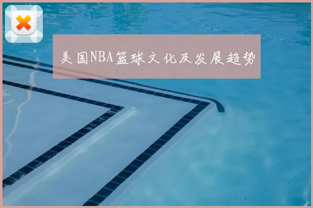 美国NBA篮球文化及发展趋势